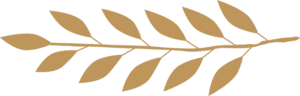 Laurel Leaf Image